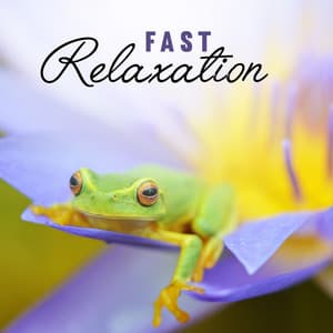 Fast Relaxation: Easy Way to Calm Down and Reduce Stress, Sounds Therapy for Inner Peace, Serenity and Calmness - Relaxing Music Guys