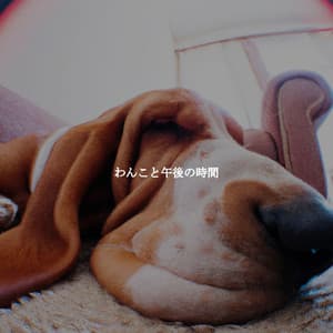 わんこと午後の時間 - Jazz Radio