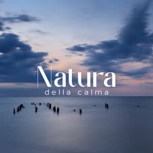 Natura della calma - Anna Benessere