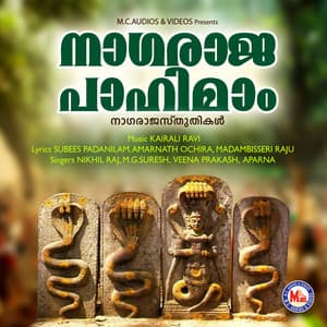 Nagaraja Pahimam - Nikhil Raj