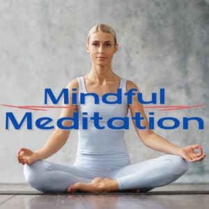 Mindful Meditation: Music for Deep Focus and Concentration with Healing & Relaxing Sounds - 432 Directions