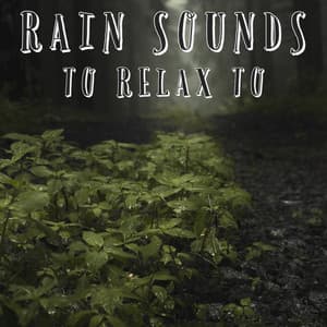Rain Sounds To Relax To - Natural Sample Makers