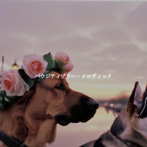 パウジティブリー・メロディック - New York City Cafe Songs