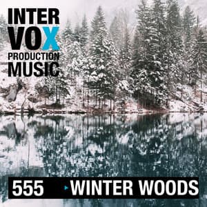 Winter Woods - Moritz Bintig