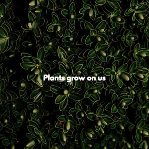 Plants grow on us - Weekend Jazz Chill