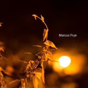 Amber Light - Marcus Frye