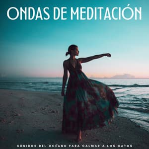 Ondas De Meditación: Sonidos Del Océano Para Calmar A Los Gatos - Serenidad Academy