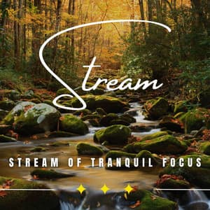 Eternal Stream of Focus: Binaural Work Tunes for Success - Water Effects Center