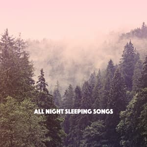 All Night Sleeping Songs - Baby Lullaby
