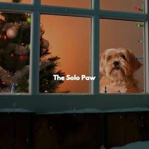 The Solo Paw - Relajado Musica Relajante para Perros