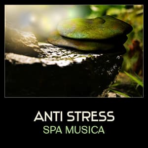 Anti stress spa musica – Musica per la meditazione, Dormire profondamente, Giardino zen, Yoga terapia, Benessere e relax - Meditazione asiatica club