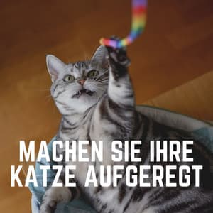 Machen Sie Ihre Katze Aufgeregt - Katzenmusik
