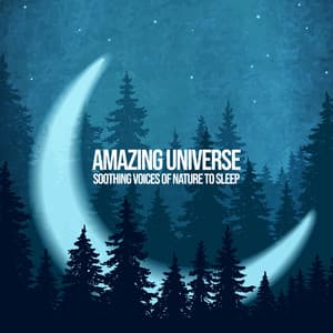 Amazing Universe - Soothing Voices of Nature to Sleep - Sleep New Age Master