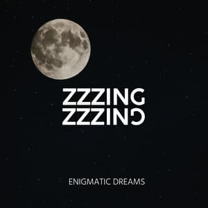 Zzzing - Enigmatic Dreams