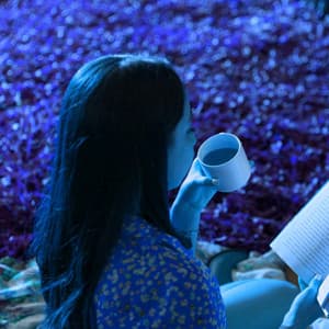 Jazz Organ and Bossa Guitar Trio - Music for Breezy Fall - #Relaxing