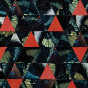 Diatom Ribbons - Kris Davis