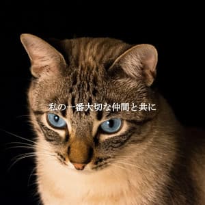 私の一番大切な仲間と共に - Soft Elevator Music