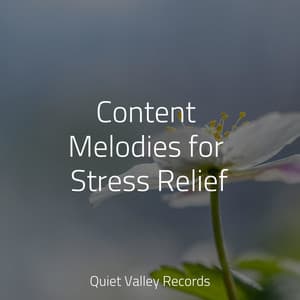 Content Melodies for Stress Relief - Lightning