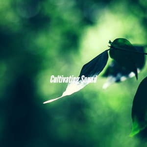 Cultivating Sound - Breakfast Lounge Music