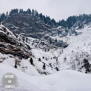 Nature's Harmonics - Dormiente