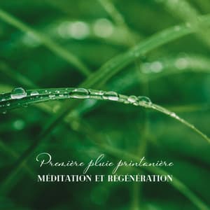 Première pluie printanière: Méditation et régénération - Musique de Réflexion Academy