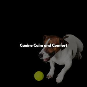 Canine Calm and Comfort - Coffee + Chill