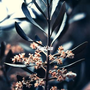 Plants Jam - Sunday Brunch Music