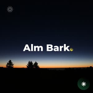 The Silent Horizon - Big Ordo