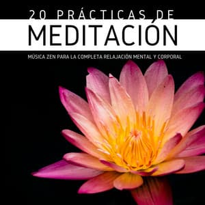 20 Prácticas de Meditación - Música Zen para la Completa Relajación Mental y Corporal - Flor de Loto