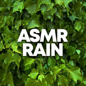 ASMR Rain - Sounds for Life