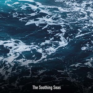 !!!!" The Soothing Seas "!!!! - Ocean Waves