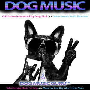 Dog Music: Chill Famous Instrumental Pop Songs For Pet Relaxation With Nature Sounds, Calm Sleeping Music For Dogs and Music For Your Dog When Home Alone - Dog Music Guru
