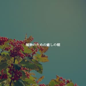 植物のための癒しの朝 - Happy Hour Jazz