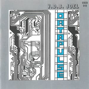 Datapulse - Joel Vandroogenbroeck