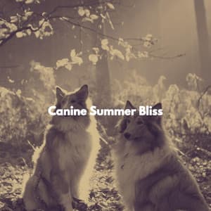 Canine Summer Bliss - Relaxing Chillout Lounge