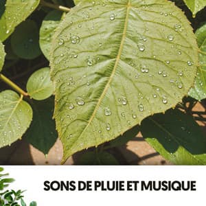 Sons de Pluie et Musique : Mélodies sous la Pluie - Ruido Blanco Hart