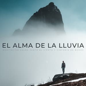 El Alma De La Lluvia: Meditación Calma Junto Al Viento Y Sinfonía De Búhos - Sonidos de lluvia y tormentas fuertes