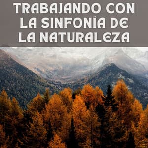 Trabajando con la Sinfonía de la Naturaleza - Sonidos de la jungla