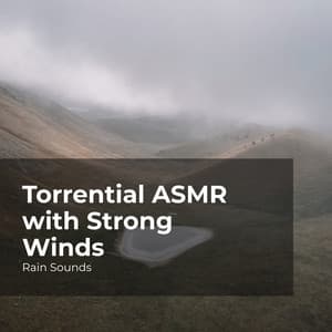 Torrential ASMR with Strong Winds - Rain Sounds