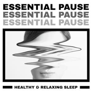 Essential Pause - Healthy & Relaxing Sleep: Sleep Therapy, Meditation for Sleep Well, Daily De-Stress - Sleep Music 101