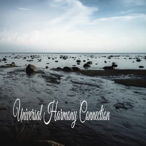Universal Harmony Connection - Sleeping Music