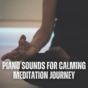 Piano Sounds for Calming Meditation Journey - Calming Piano Therapy