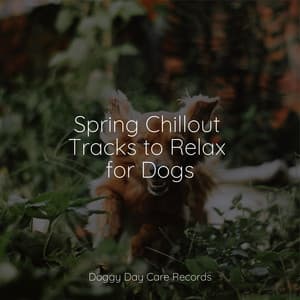 Spring Chillout Tracks to Relax for Dogs - Jazz Music for Dogs