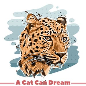 A Cat Can Dream - Music For Cats