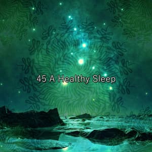 45 A Healthy Sleep - Baby Music