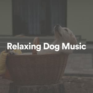 Relaxing Dog Music - Sleeping Music For Dogs