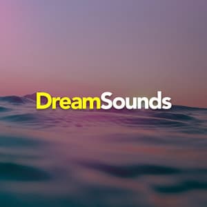 Dream Sounds - Rain Sounds & White Noise