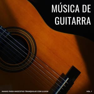 Música de Guitarra: Nanas para Mascotas Tranquilas Con Lluvia Vol. 1 - Piano clásico