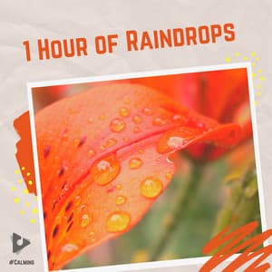 1 Hour of Raindrops - #Calming
