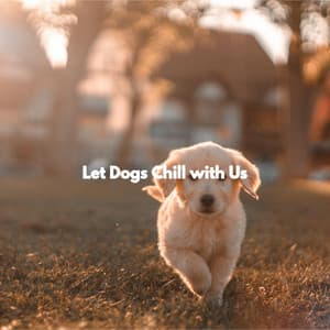 Let Dogs Chill with Us - Música para Tiendas De Lujo